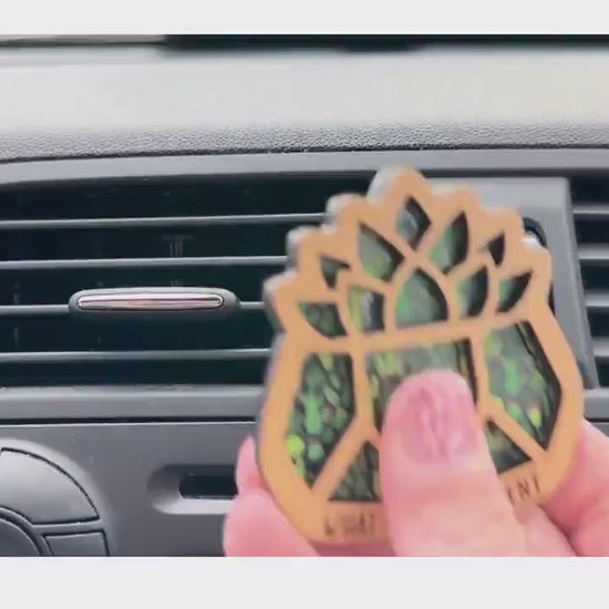 Essential Oil Car Air Freshener - Funny Cactus Plant Car Accessories