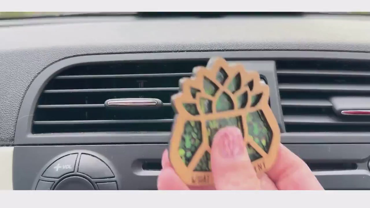 Essential Oil Car Air Freshener - Funny Cactus Plant Car Accessories